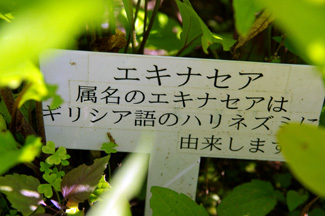 IMGP2025.jpg