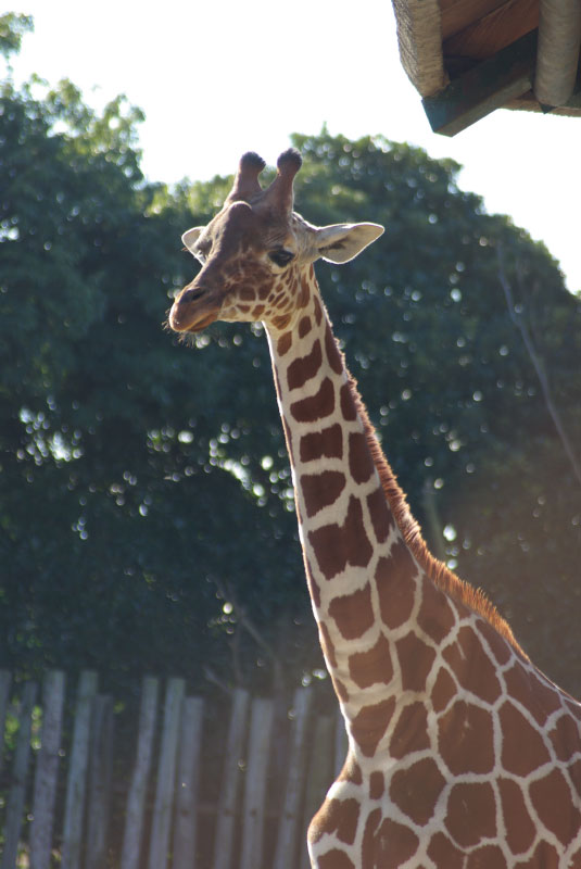 1210_IMGP0119.jpg