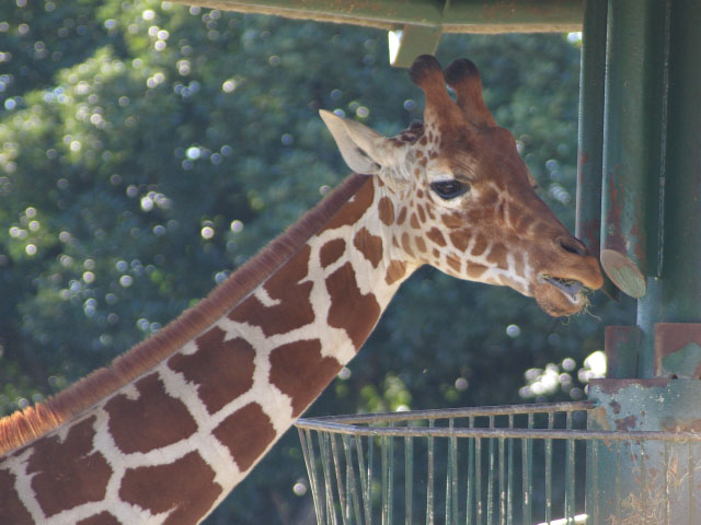 1210_IMGP0125.jpg