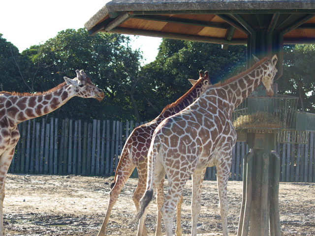 1210_IMGP0127.jpg