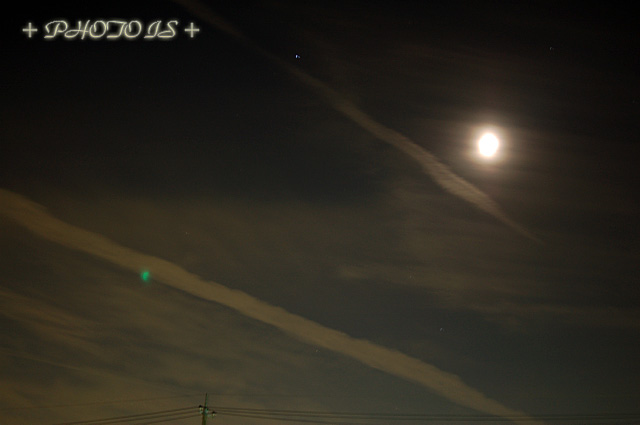 DSC_6246.jpg